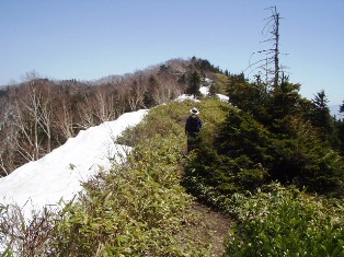 山頂（写真左端）目指し主稜線を行く